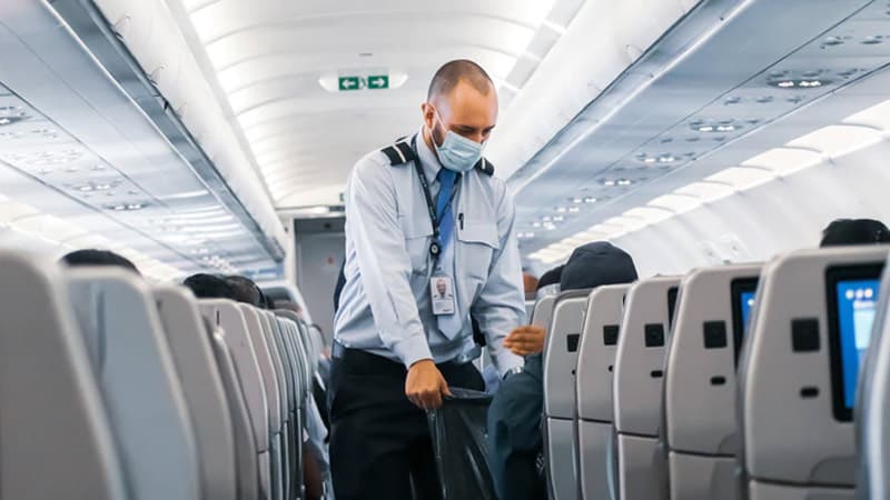 Is It Possible To Fly With Your Dog In A Cabin? 