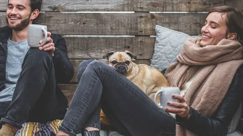 can a dog sit on your lap on a plane