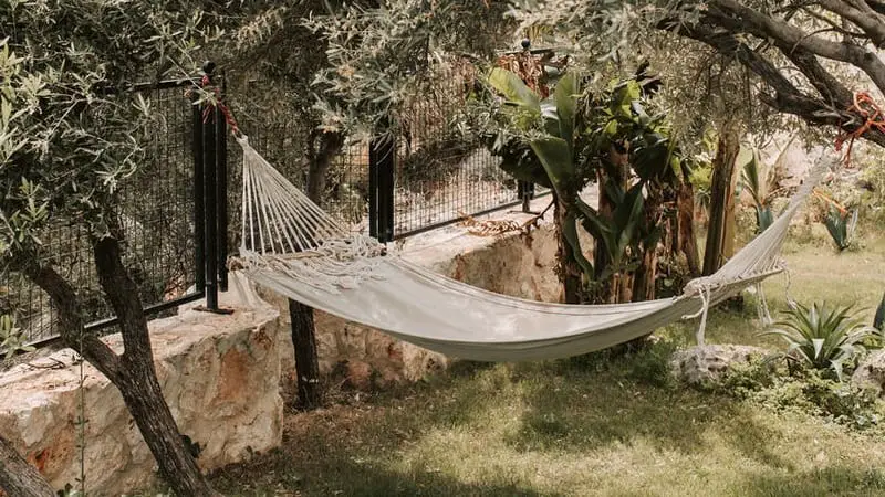 How Do You Clean an Active Pets Hammock? 