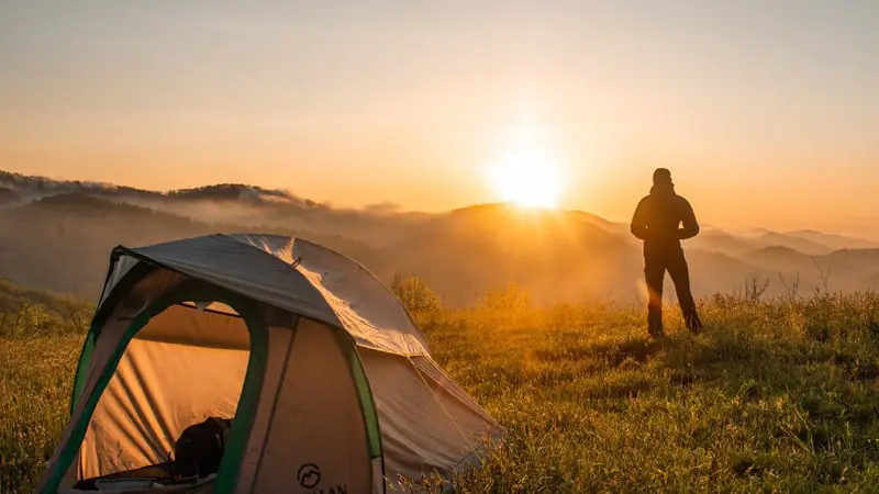 Is It Safe to Bring a Cat on a Hike? 